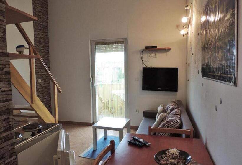 Студия Стандарт, Apartments Mijic