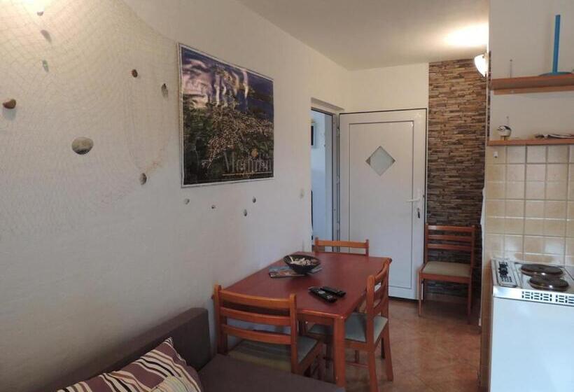 Студия Стандарт, Apartments Mijic