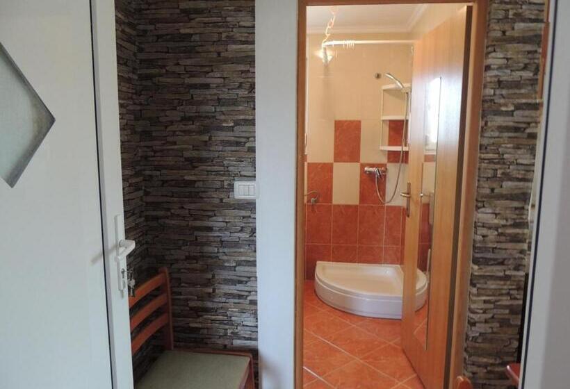 Студия Стандарт, Apartments Mijic