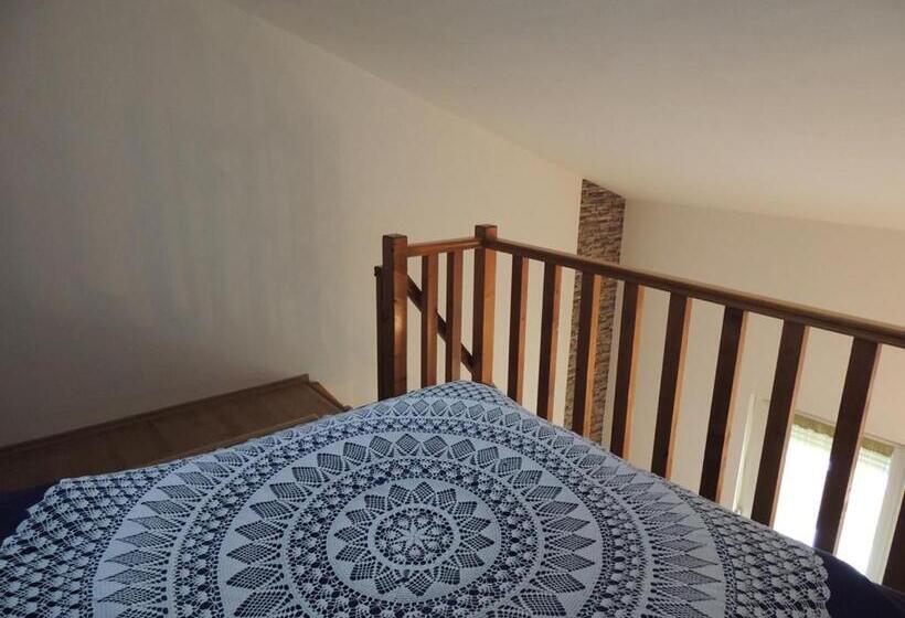 Студия Стандарт, Apartments Mijic