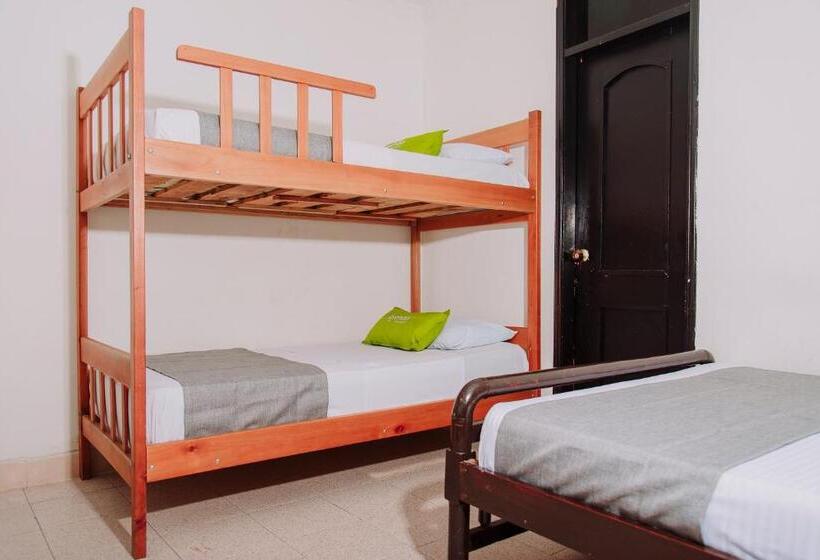 スタンダード４人部屋, Ayenda 1614 Playa Y Mar