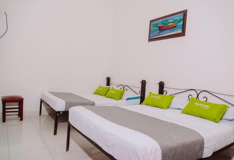 エコノミー４人部屋, Ayenda 1614 Playa Y Mar