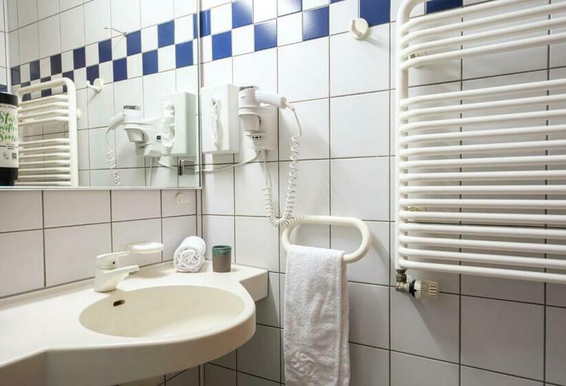 스탠다드 싱글 룸, Achat Hotel Karoli Waldkirchen