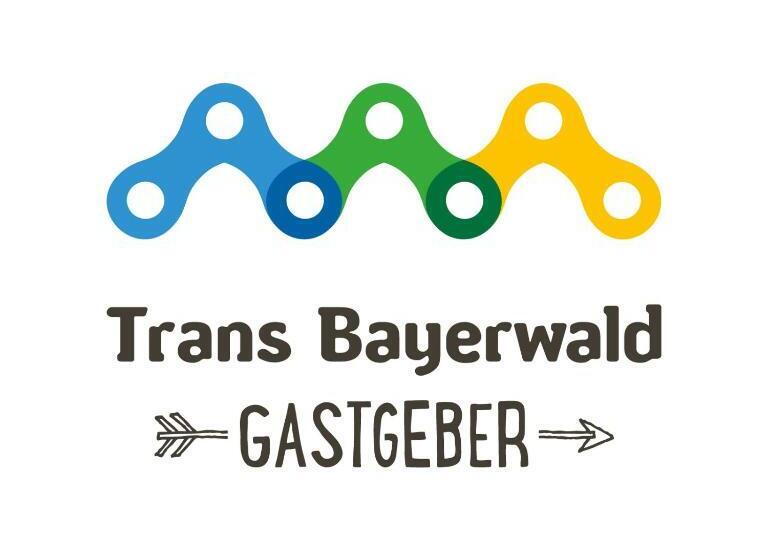 스탠다드 싱글 룸, Achat Hotel Karoli Waldkirchen