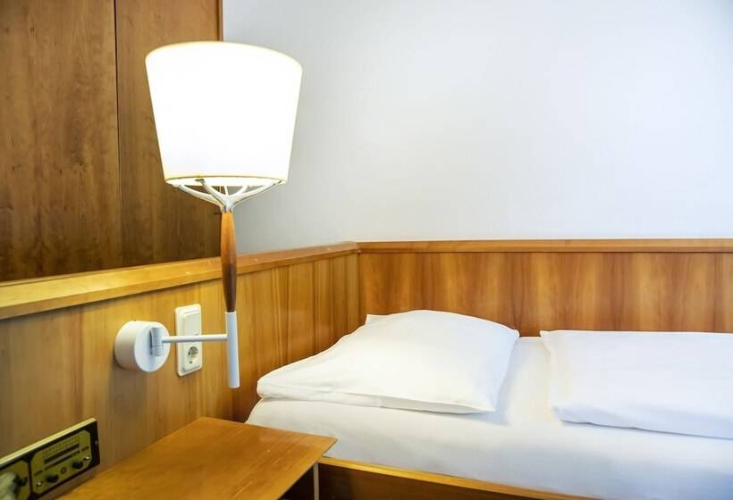 스탠다드 룸, Achat Hotel Karoli Waldkirchen