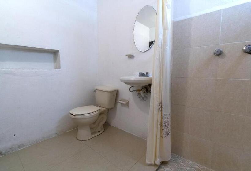 غرفة قياسية رباعية, Punta Guadalupe