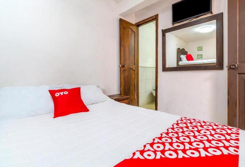 غرفة قياسية رباعية, Punta Guadalupe