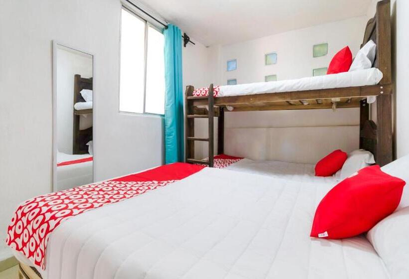 غرفة قياسية رباعية, Punta Guadalupe