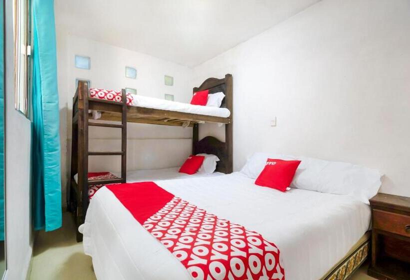 غرفة قياسية رباعية, Punta Guadalupe