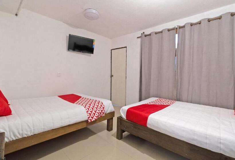 غرفة قياسية, Punta Guadalupe