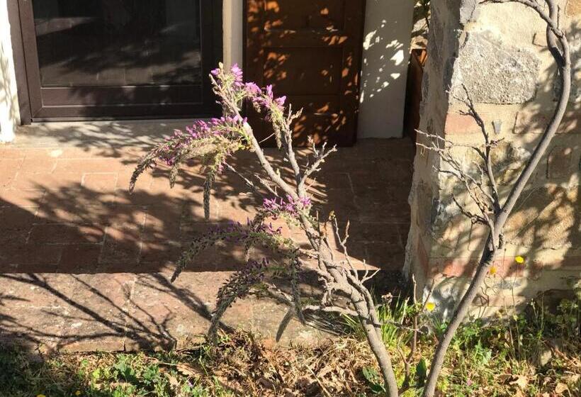 침실 1개 디럭스 아파트, Antichi Casali