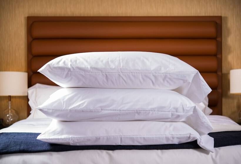 חדר סטנדרט שתי מיטות זוגיות, Dossier