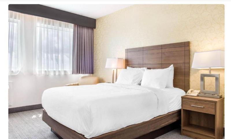 חדר פרמיום, Dossier