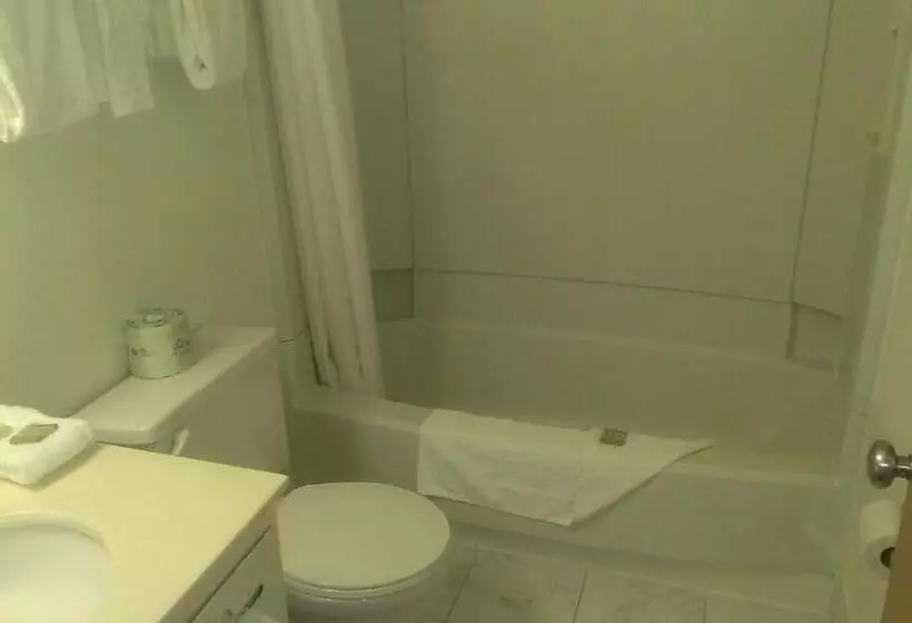 اتاق استاندارد با تخت بزرگ, Quality Inn