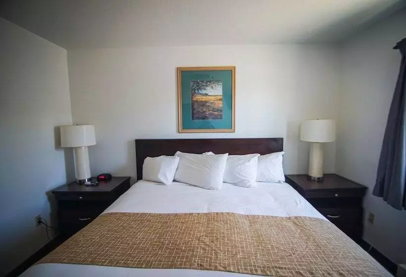 سوئیت با تخت بزرگ, Travelodge By Wyndham Colorado Springs Airport/peterson Afb