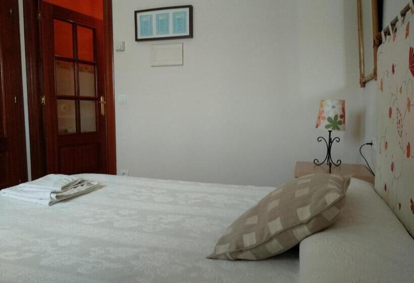 חדר סטנדרט יחיד, Pension Zelaigane