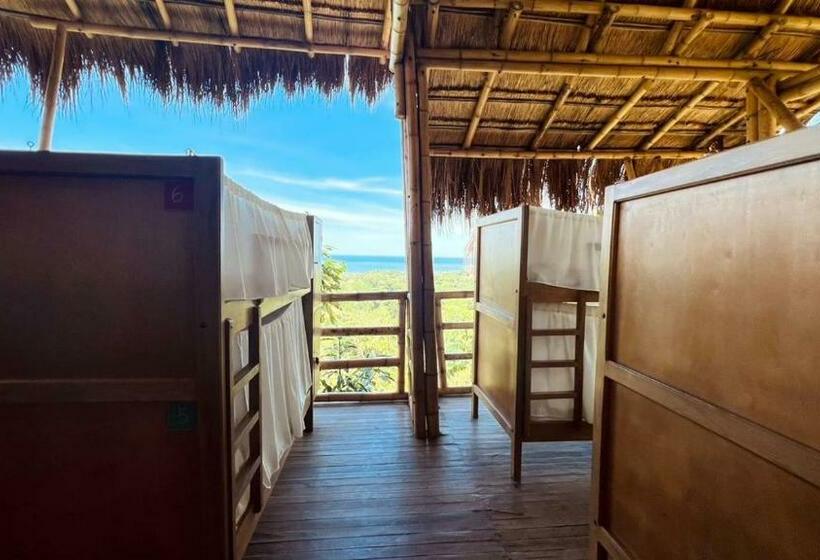 מיטה בחדר משותף, Niuwi Hostel