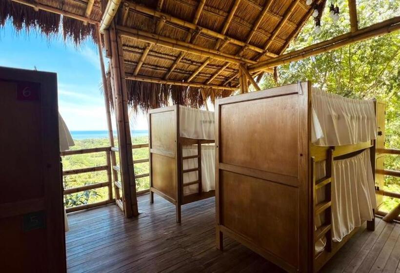 מיטה בחדר משותף, Niuwi Hostel