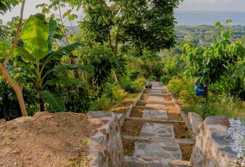 חדר משפחתי, Niuwi Hostel