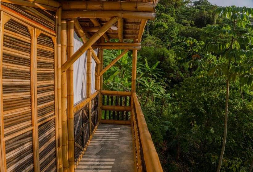 חדר משפחתי, Niuwi Hostel