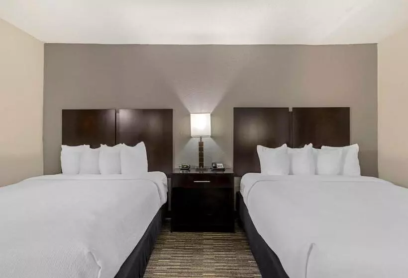 スタンダードルーム, Best Western Plus Jonesboro Inn And Suites