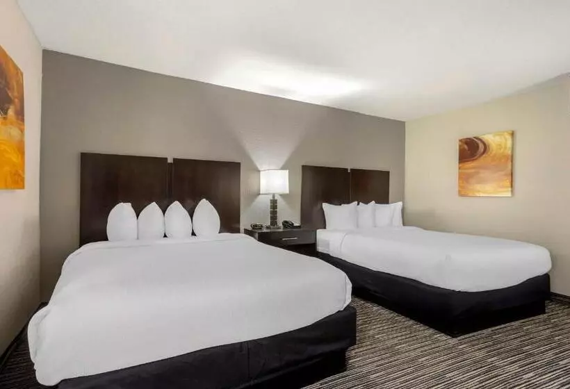 スタンダードルーム, Best Western Plus Jonesboro Inn And Suites