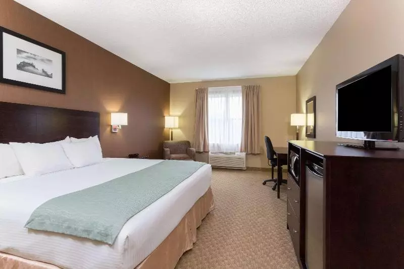 سوئیت با تخت بزرگ, Courtyard By Marriott Boston Billerica Bedford