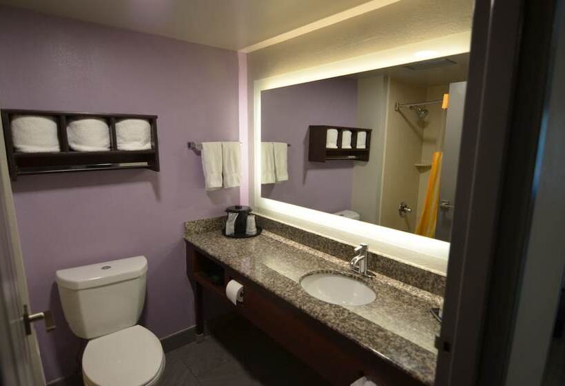 חדר דלוקס, La Quinta By Wyndham Clarksville