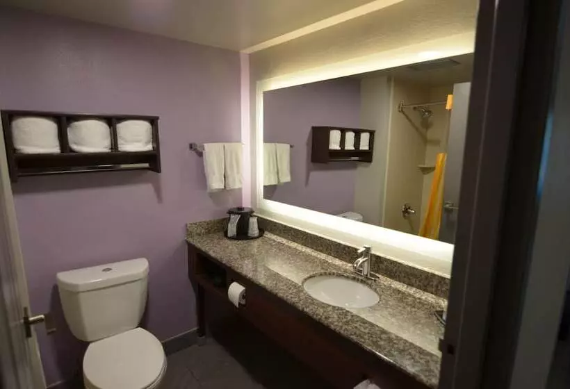 デラックスルーム, La Quinta By Wyndham Clarksville