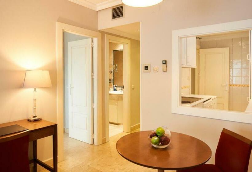 آپارتمان سوپریور 1 خوابه, Suites Barrio De Salamanca