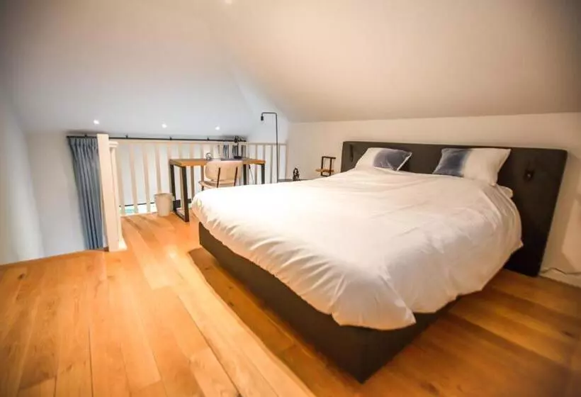 اتاق استاندارد, B&b Elementum