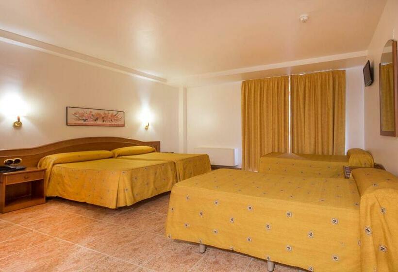 اتاق سوپریور چهار تخته, Cervol by Nexta