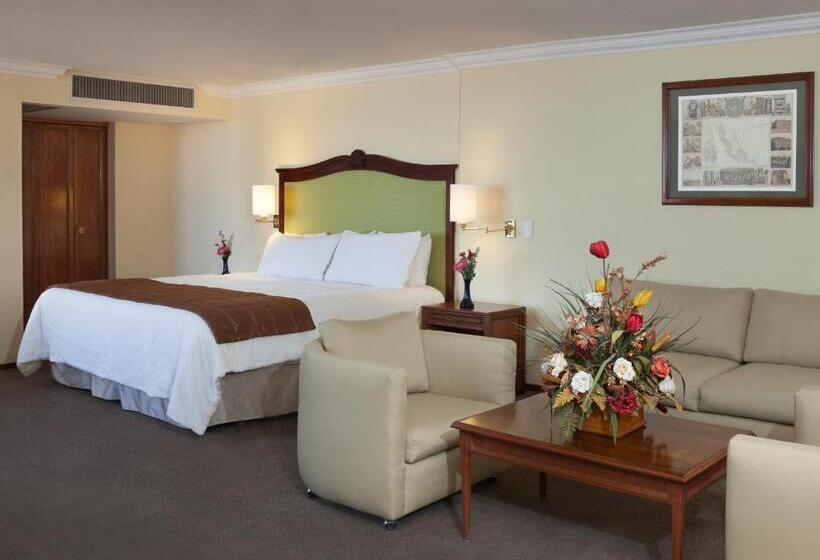 سوئیت مستر, Francia Aguascalientes