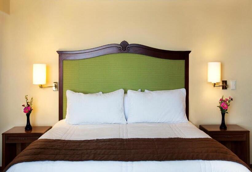 اتاق استاندارد, Francia Aguascalientes