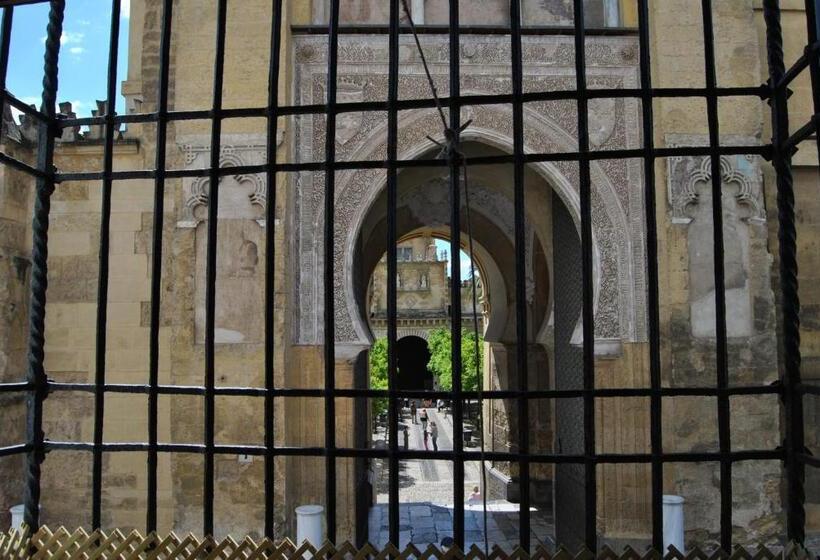 اتاق سوپریور, Los Patios