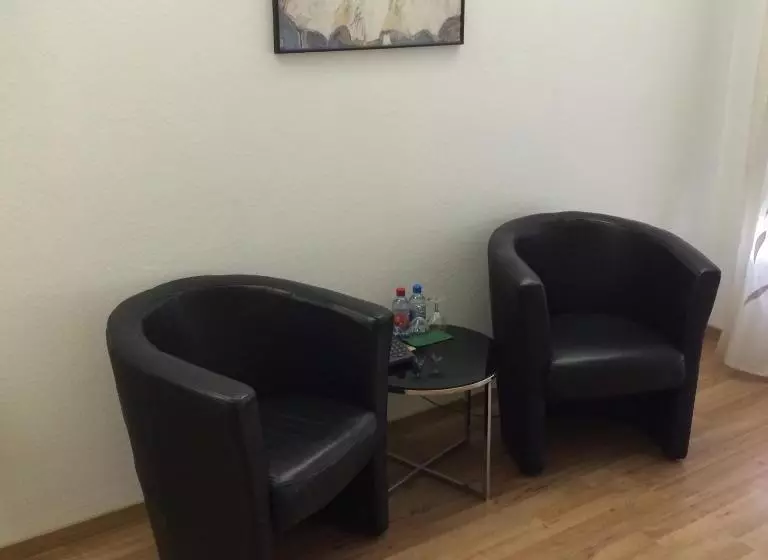 Business-Zimmer, Metropol