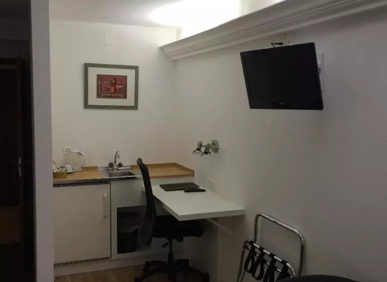 Business-Zimmer, Metropol