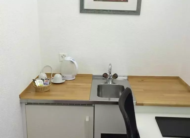 Business-Zimmer, Metropol