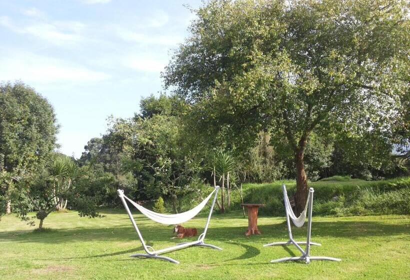 수피리어 룸, Rural Cuartamenteru