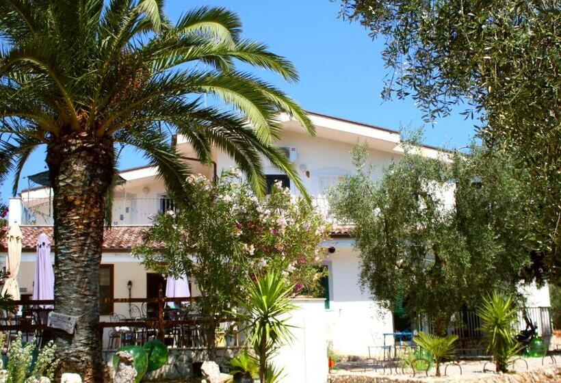 اتاق لوکس, Vila Sejuda