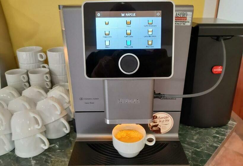 חדר סטנדרט יחיד, H+m Penzion