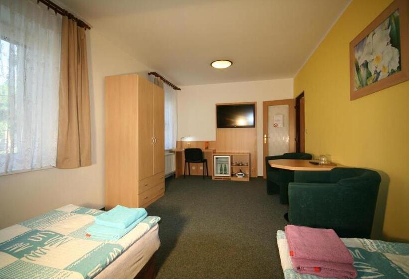 חדר סטנדרט, H+m Penzion