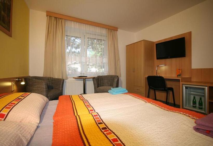 חדר סטנדרט, H+m Penzion