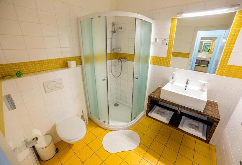 חדר סטנדרט, Lion