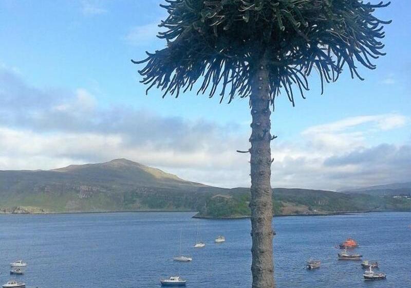 Номер Стандарт Индивидуальный, Coolin View