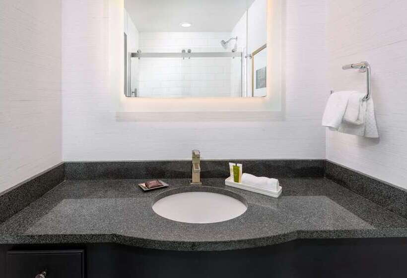 חדר סטנדרט עם מיטת קינג, Hilton Edinburgh Carlton