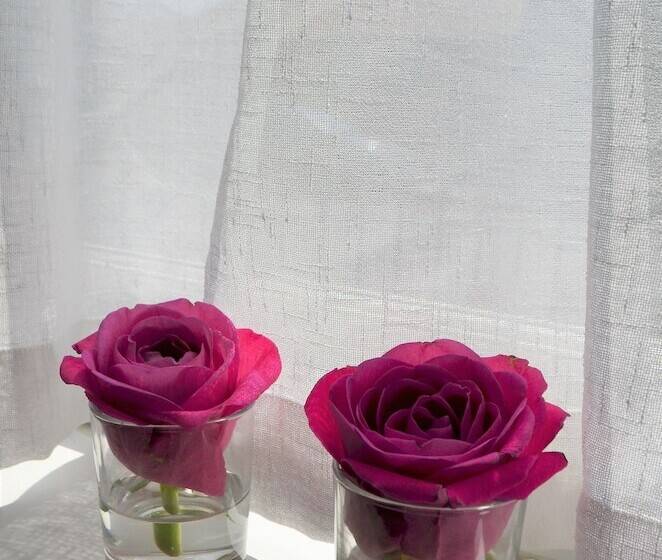 Номер Стандарт Трехместный, Holmlea