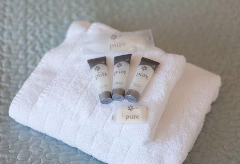수피리어 룸 바다 전망, Shelleven Guest House