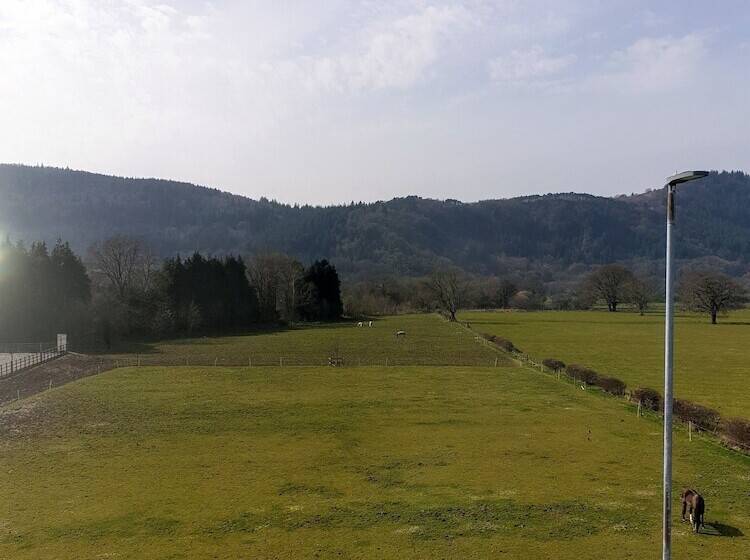 패밀리 룸, Meadowsweet