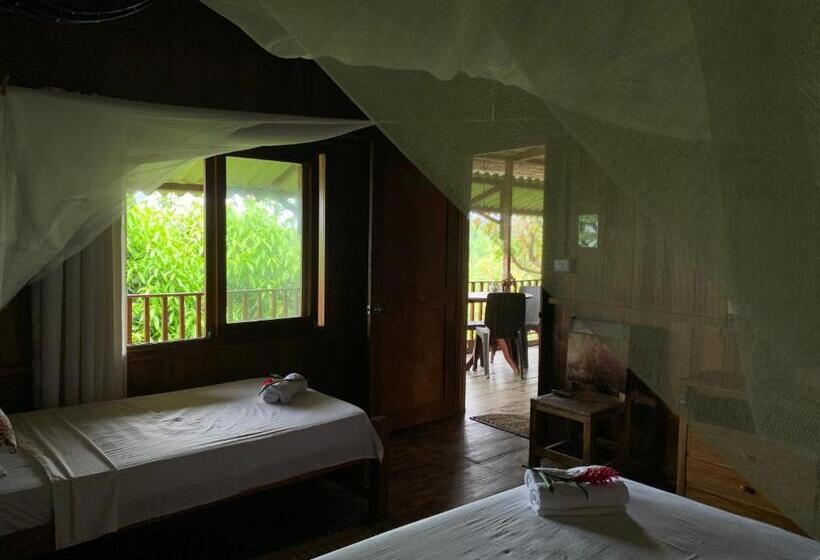 スタンダードルーム, Posada Villa Margarita